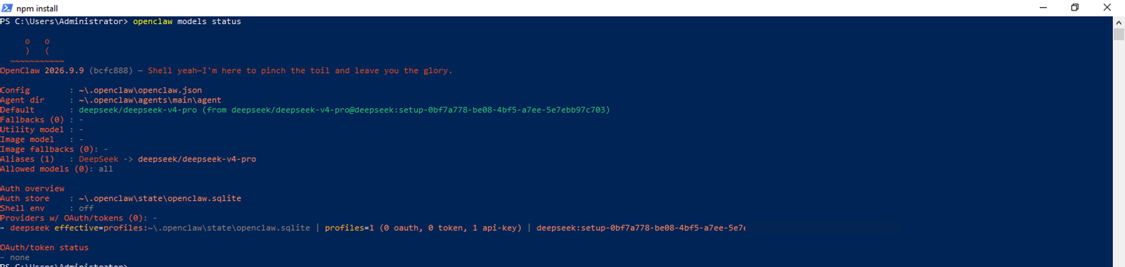 openclaw models status trên Windows: model mặc định và một profile api-key, phần key đã được che