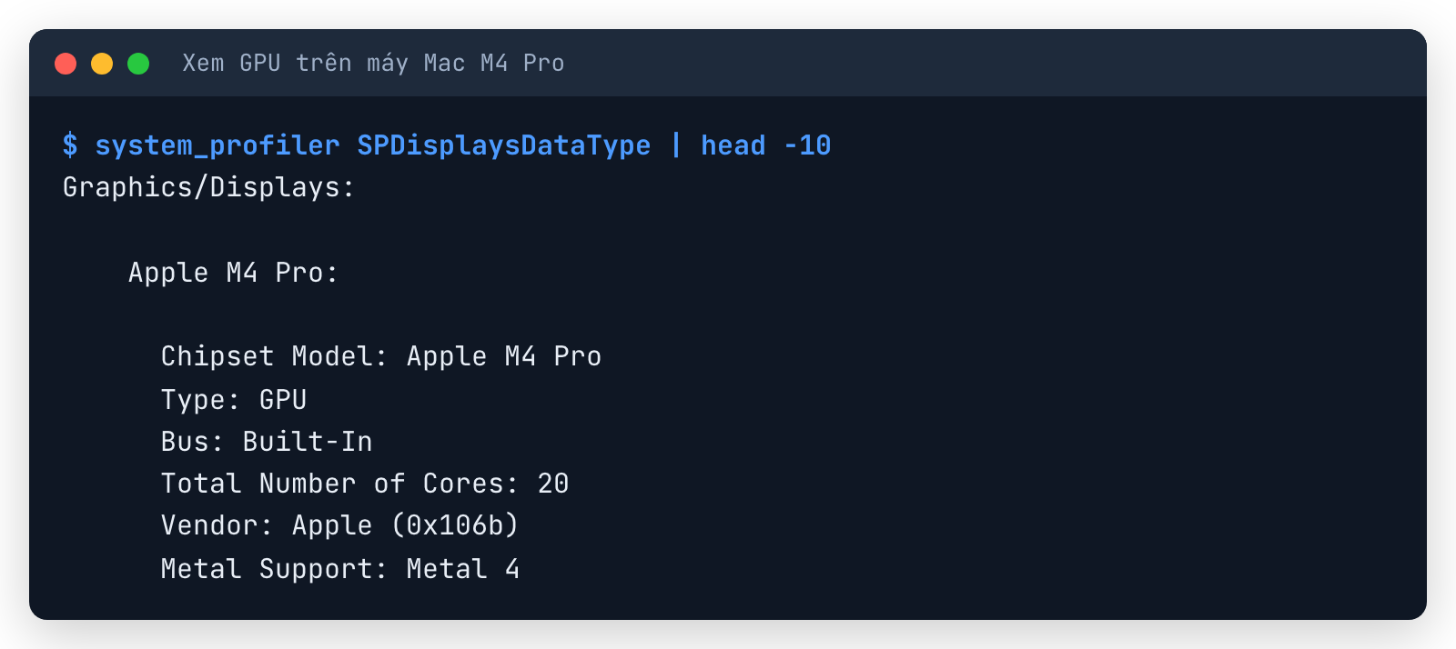 Terminal system_profiler SPDisplaysDataType trên Mac: Chipset Model Apple M4 Pro, Type GPU, Bus Built-In, Total Number of Cores 20, Vendor Apple, Metal Support Metal 4