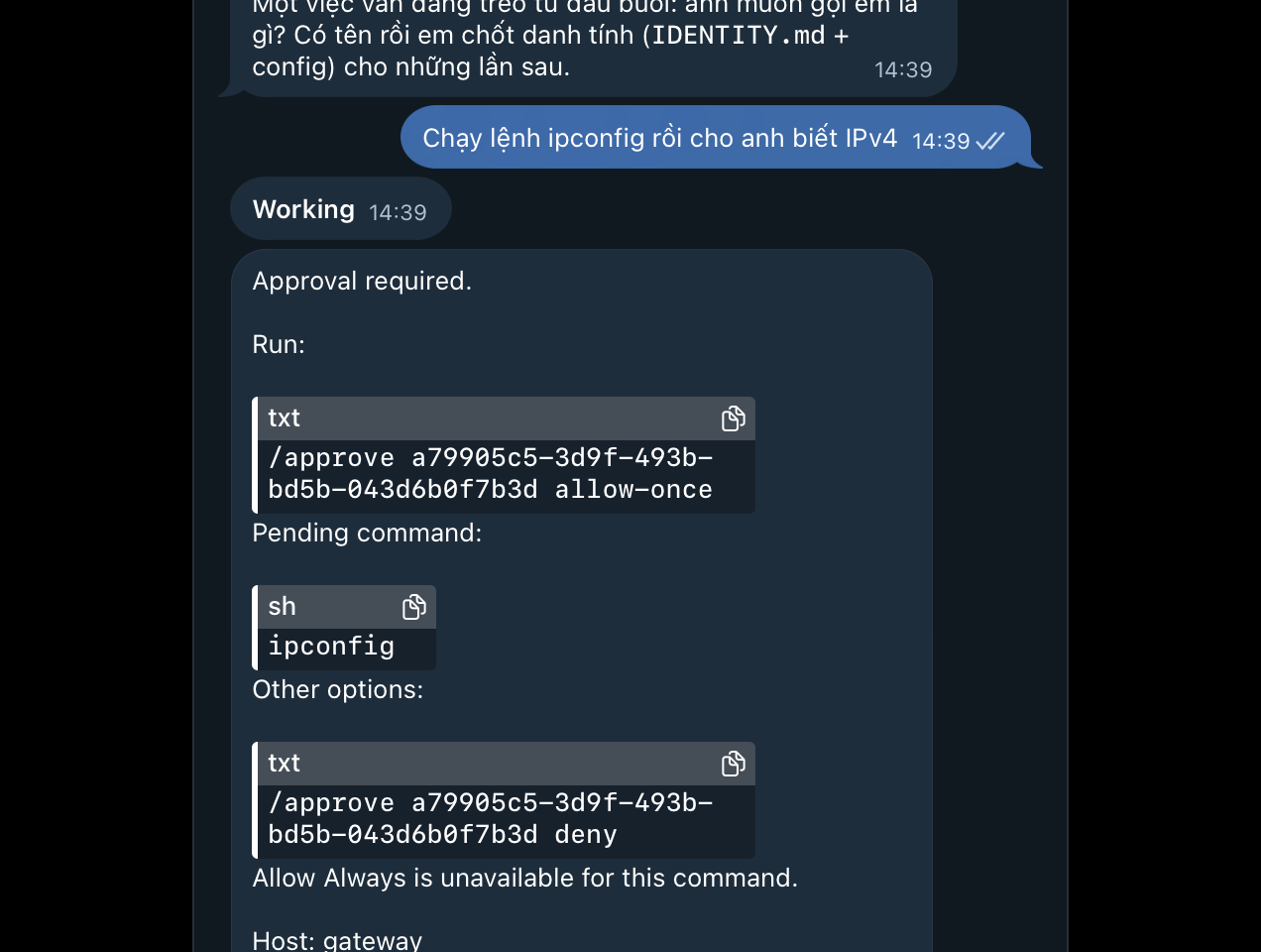 Tin nhắn xin duyệt lệnh ipconfig trên Telegram với hai nút Allow Once và Deny, hết hạn sau 30 phút